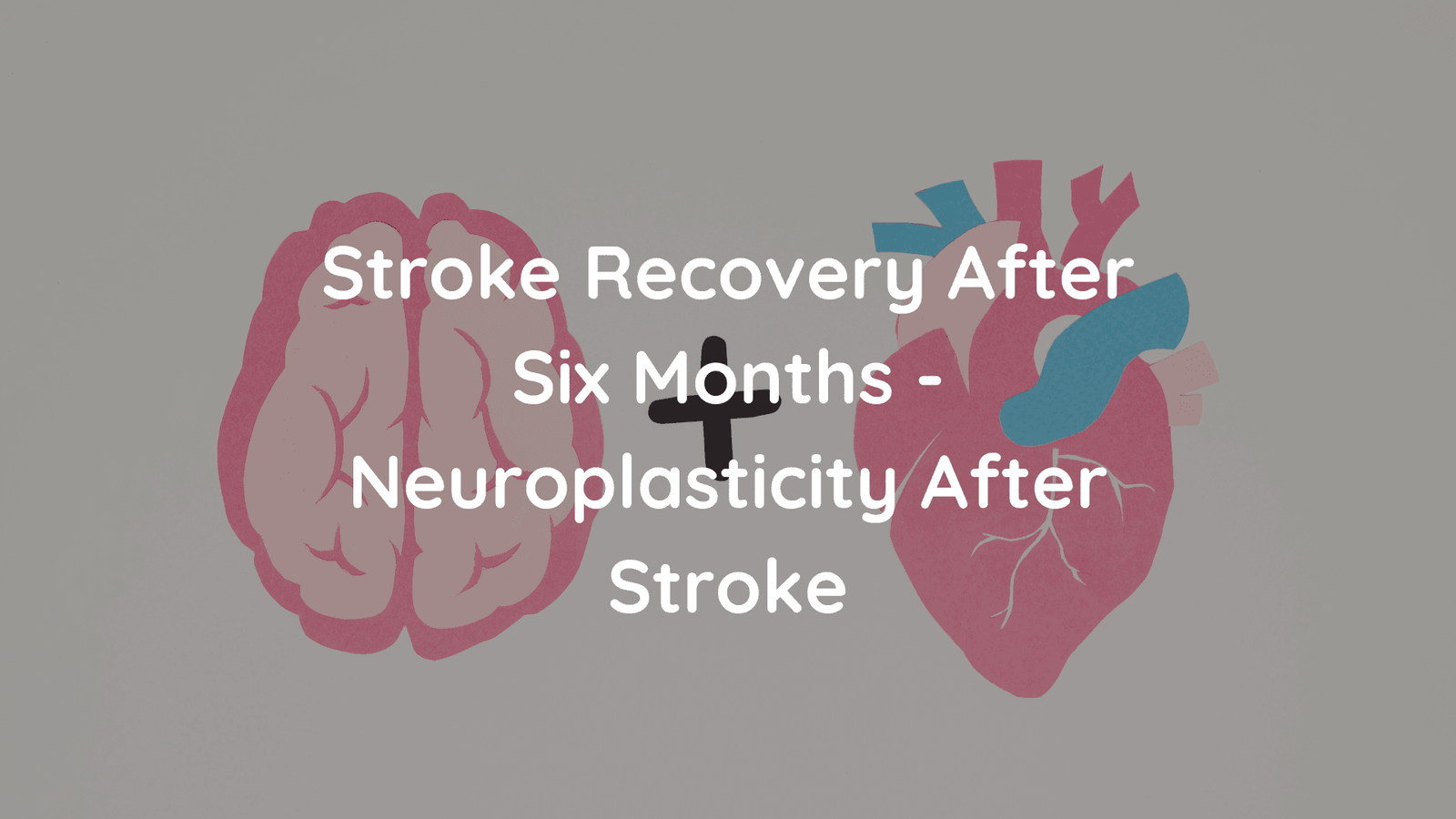 Stroke Recovery After Six Months - Neuroplasticity After Stroke